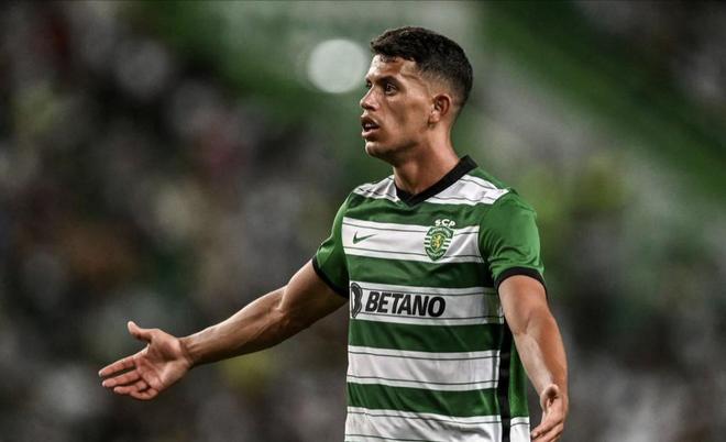 几乎年年被 几乎年年被