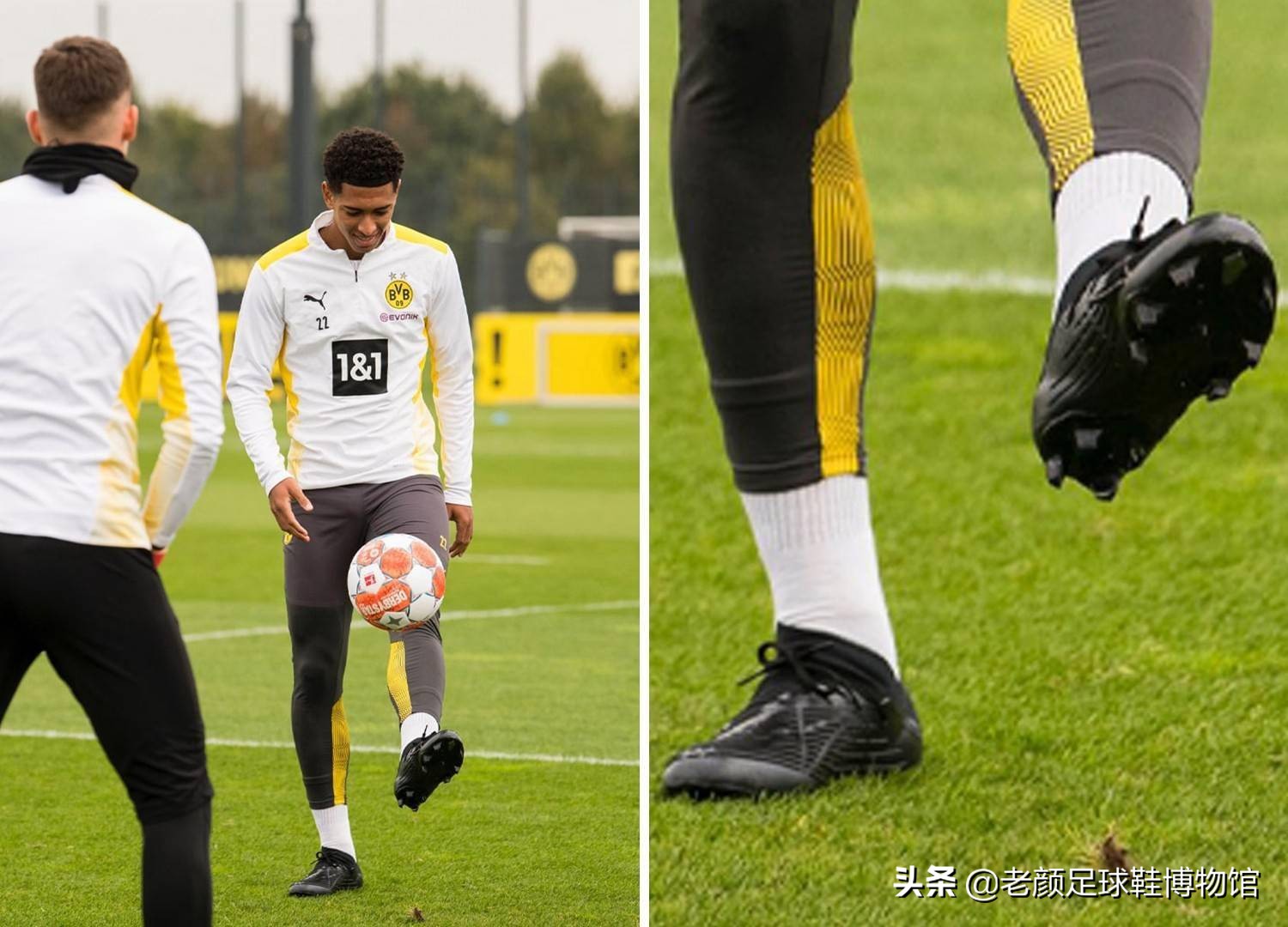 察其它成員 察其它成員