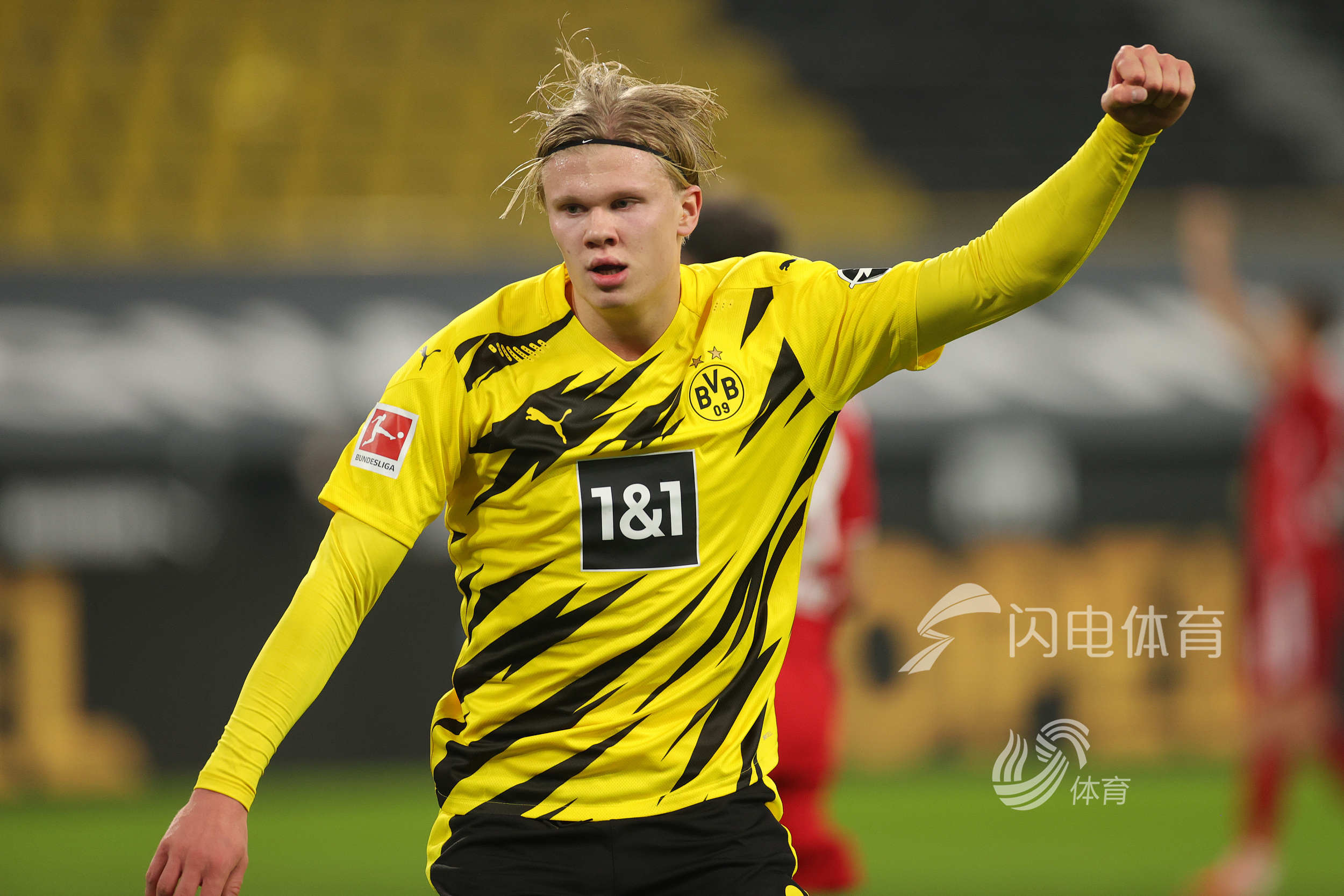 向王钰栋的 向王钰栋的